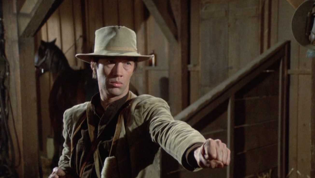 Lee's idea was stereotypically reduced to a white man playing a Chinese in the '70s. (IMDb)