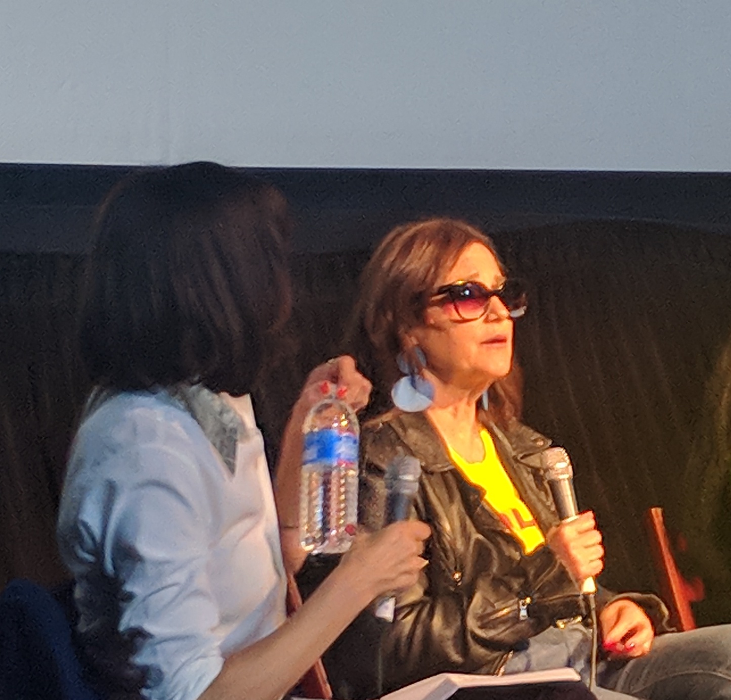 Sharon Oreck speaks at the music video production panel for the 2018 Female Filmmakers Festival.