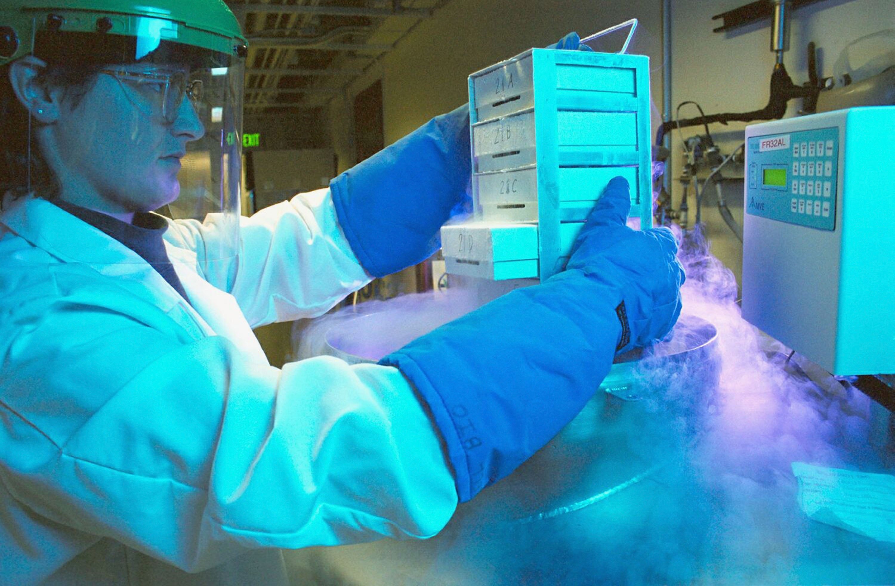 In this undated handout photo from Schering AG, a technician withdraws deep-frozen cells for in-vitro culturing at a laboratory of German pharmaceutical giant Schering. According to news reports March 13 German drug company Merck has launched a 14.6 billion Euros hostile takeover bid for Schering.