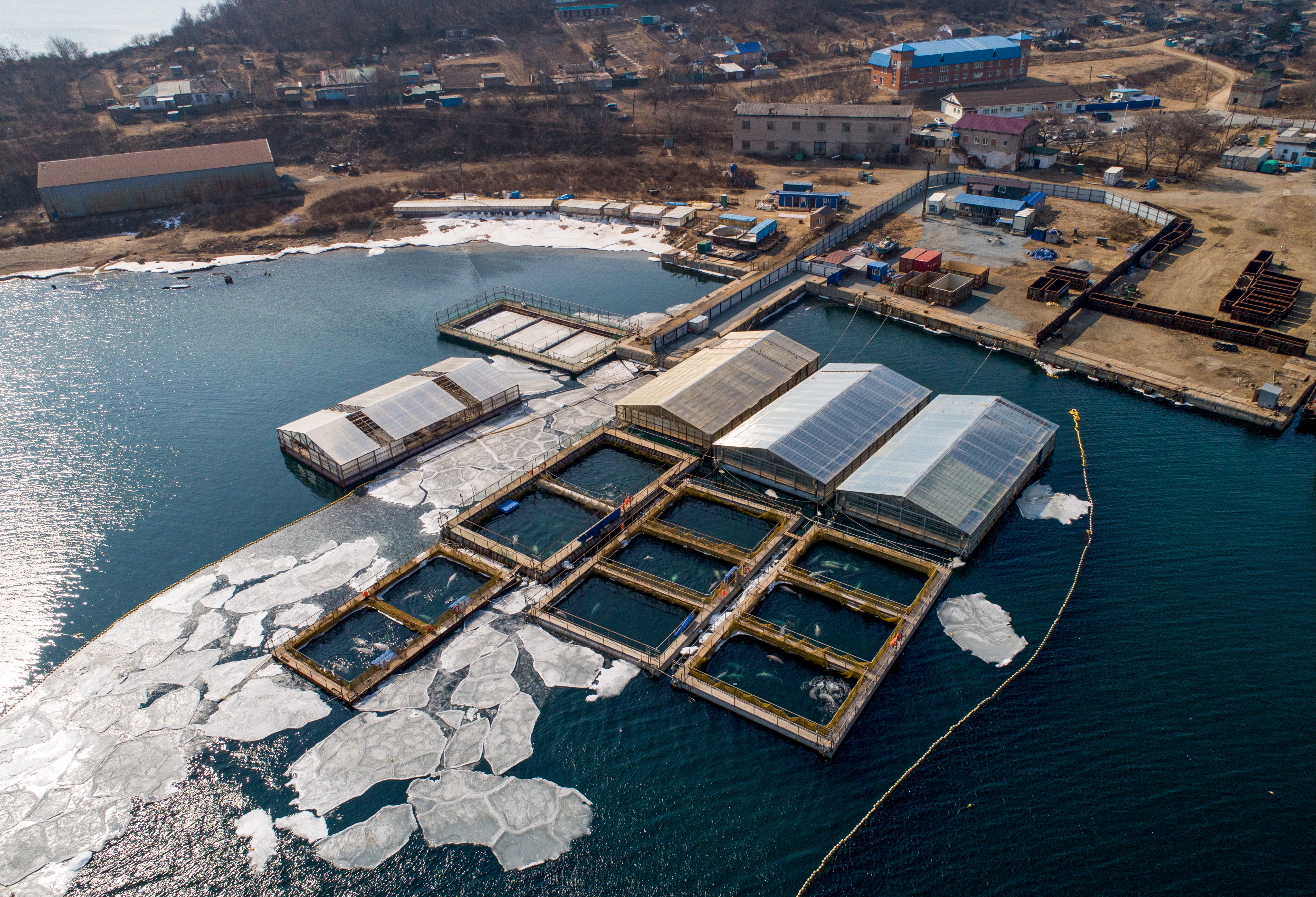 An aerial view of pools in the marine animals' adaptation centre where illegally caught 11 orcas and 90 belugas that were to be sold to Chinese amusement parks are being kept, in Srednyaya Bay near the city of Nakhodka in Russia's Far East (Source: Yuri Smityuk/TASS via Getty Images)