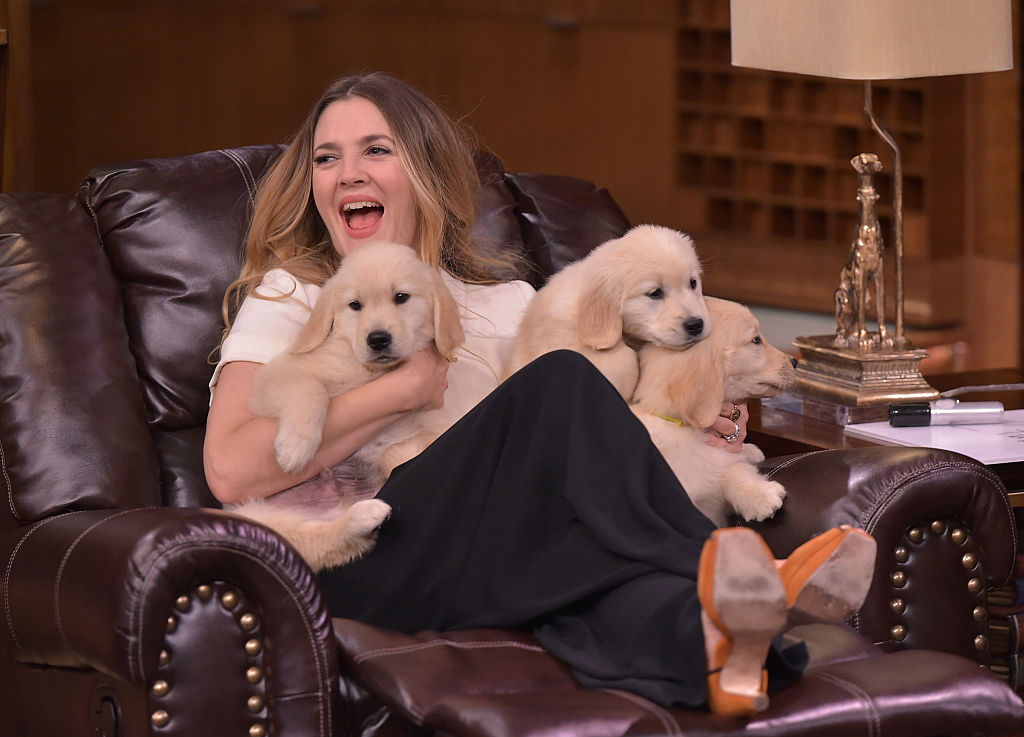 Drew Barrymore Visits 'The Tonight Show Starring Jimmy Fallon' at Rockefeller Center on October 27, 2015, in New York City. (Getty Images)