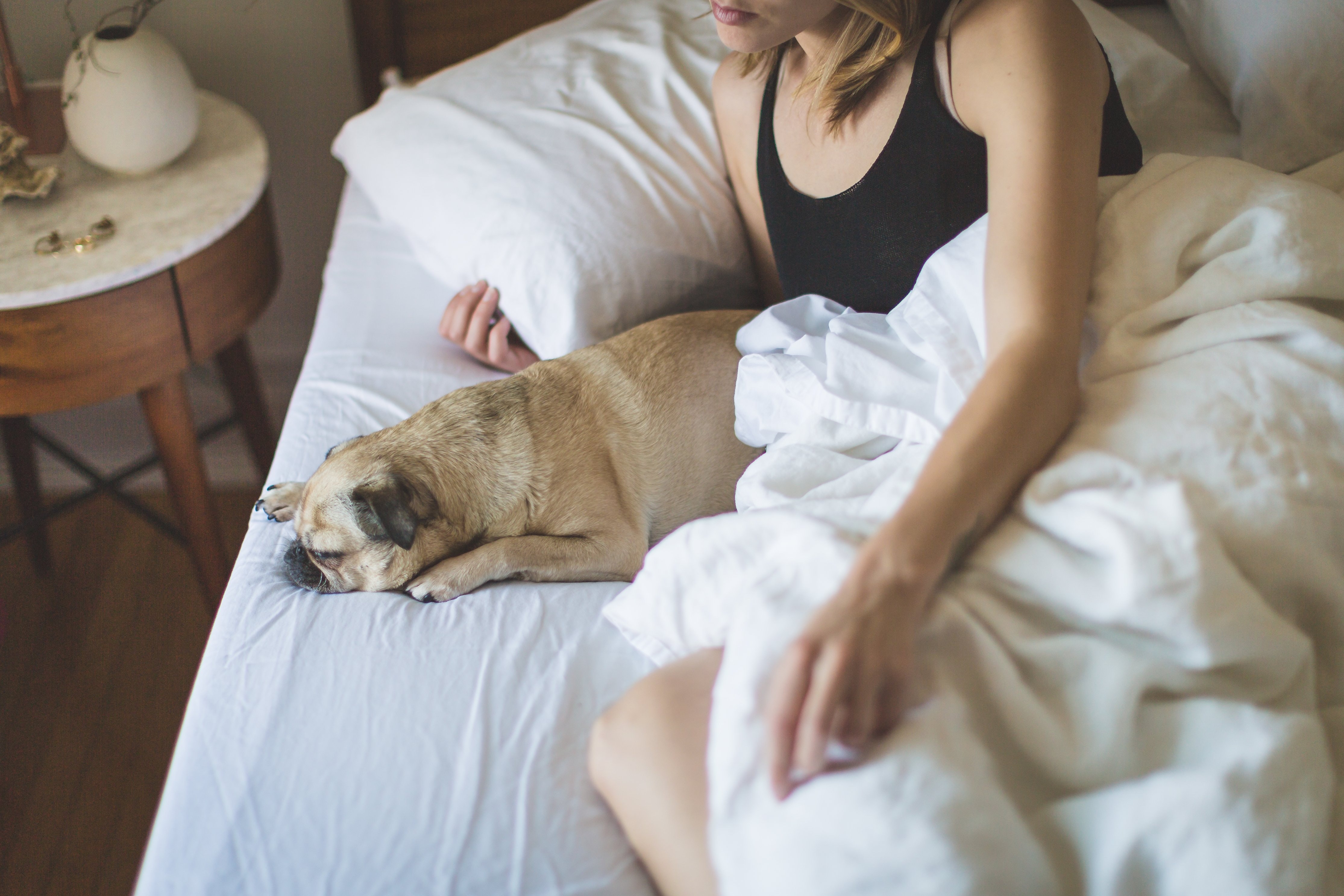Dogs are said to be less unsettling as a sleeping companion when compared to men. (Source: Pexels)