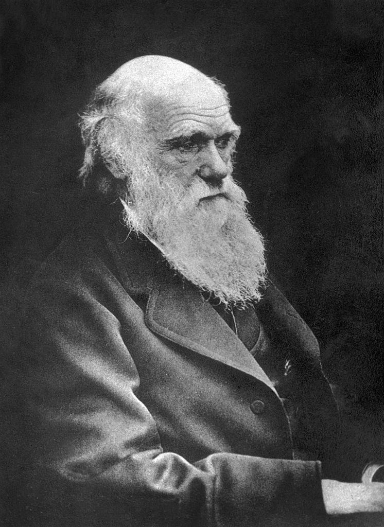 English naturalist and co-originator of the theory of evolution, Charles Darwin (1809 - 1882) (Source: Spencer Arnold Collection/Hulton Archive/Getty Images)
