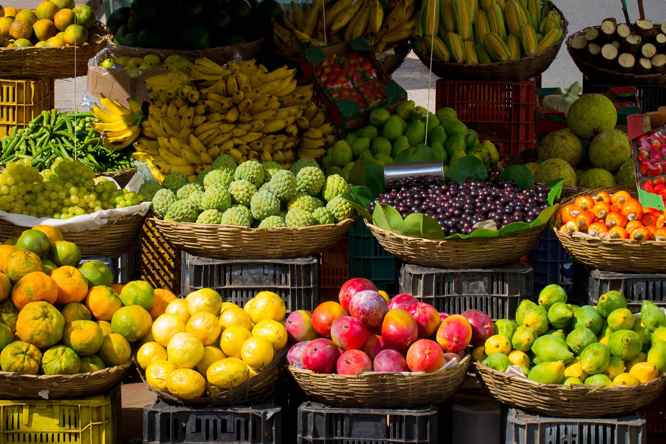 Medical experts maintain that a healthy diet is vital in order to stave off the degeneration of the brain as one grows old. (Pexels)