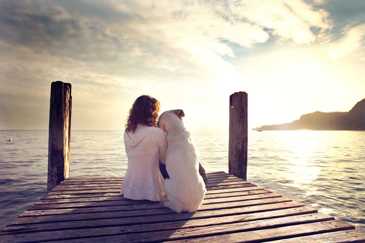 The responses in the report showed that the person has deeper love or love equal to that they have for their partner.(Source: iStock by Getty Images)