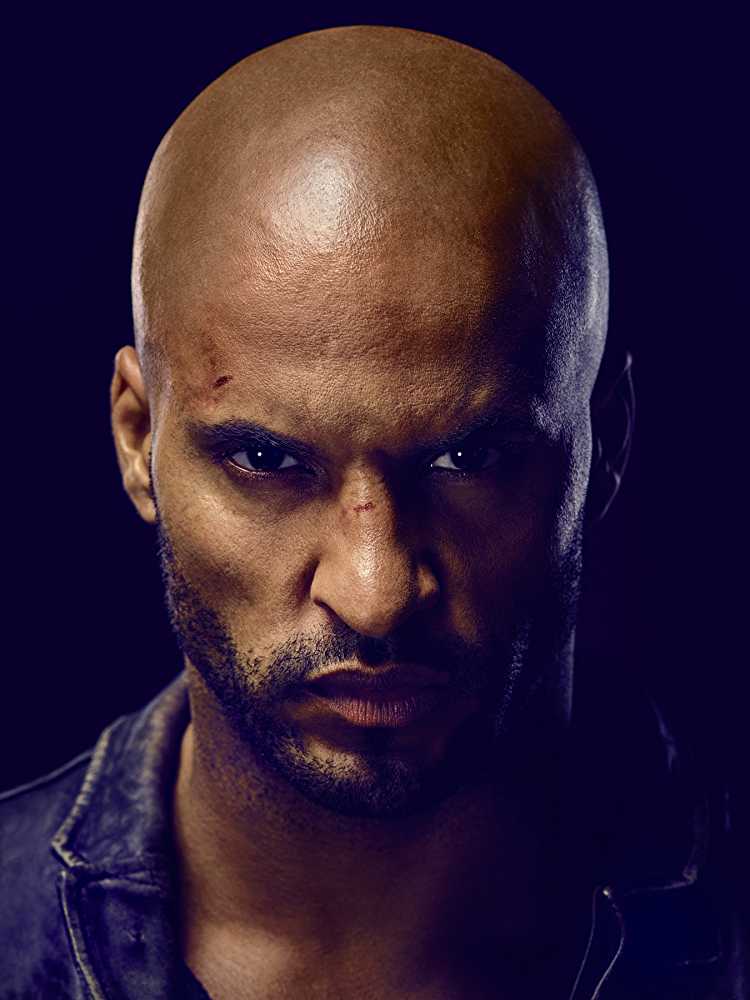 Shadow Moon (Ricky Whittle) Profile poster in 'American Gods'.
(Source: IMDB)