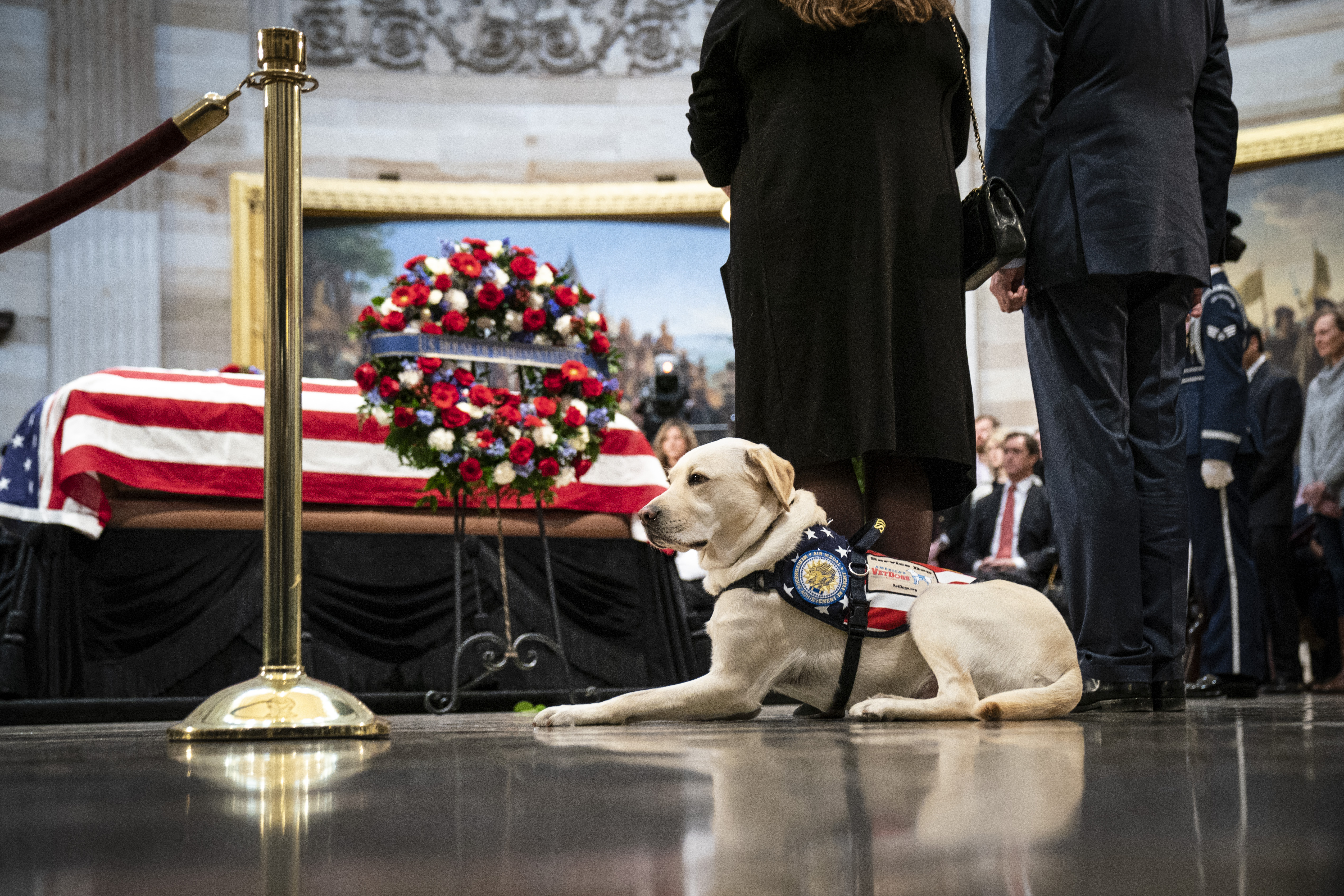 Sully, a yellow Labrador service dog for former President George H. W. Bush, sits near the casket of the late former President George H.W. Bush as he lies in state at the U.S. Capitol, December 4, 2018 in Washington, DC. A WWII combat veteran, Bush served as a member of Congress from Texas, ambassador to the United Nations, director of the CIA, vice president and 41st president of the United States. Bush will lie in state in the U.S. Capitol Rotunda until Wednesday morning.