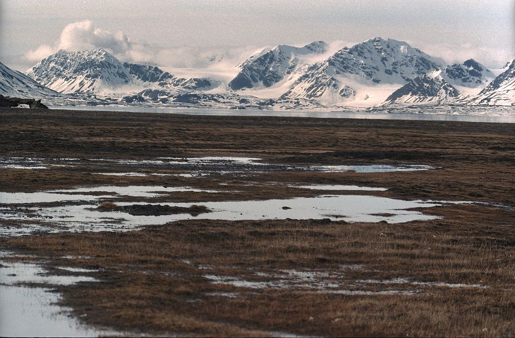 Svalbard, Bellsund, tundra. This is seen from the tundra plain below Ingeborgfjellet (Camp Bell) in Nordenskiöld Land, over the Bellsund fjord, and towards Cape Lyell (Wedel Jarlsberg Land) with (from the left): Activekammen mountain, Renardbreen glacier, Bohlinryggen mountain, Scottbreen glacier (hardly visible), Wijkanderberget mountain, and Halvorsenfjellet mountain. Photograph by Jerzy Strzelecki