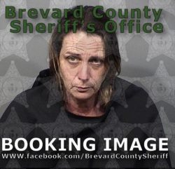 Morin is being held at the Brevard County Jail on a $40,000 bond (Source: Brevard County Sheriff's Office)