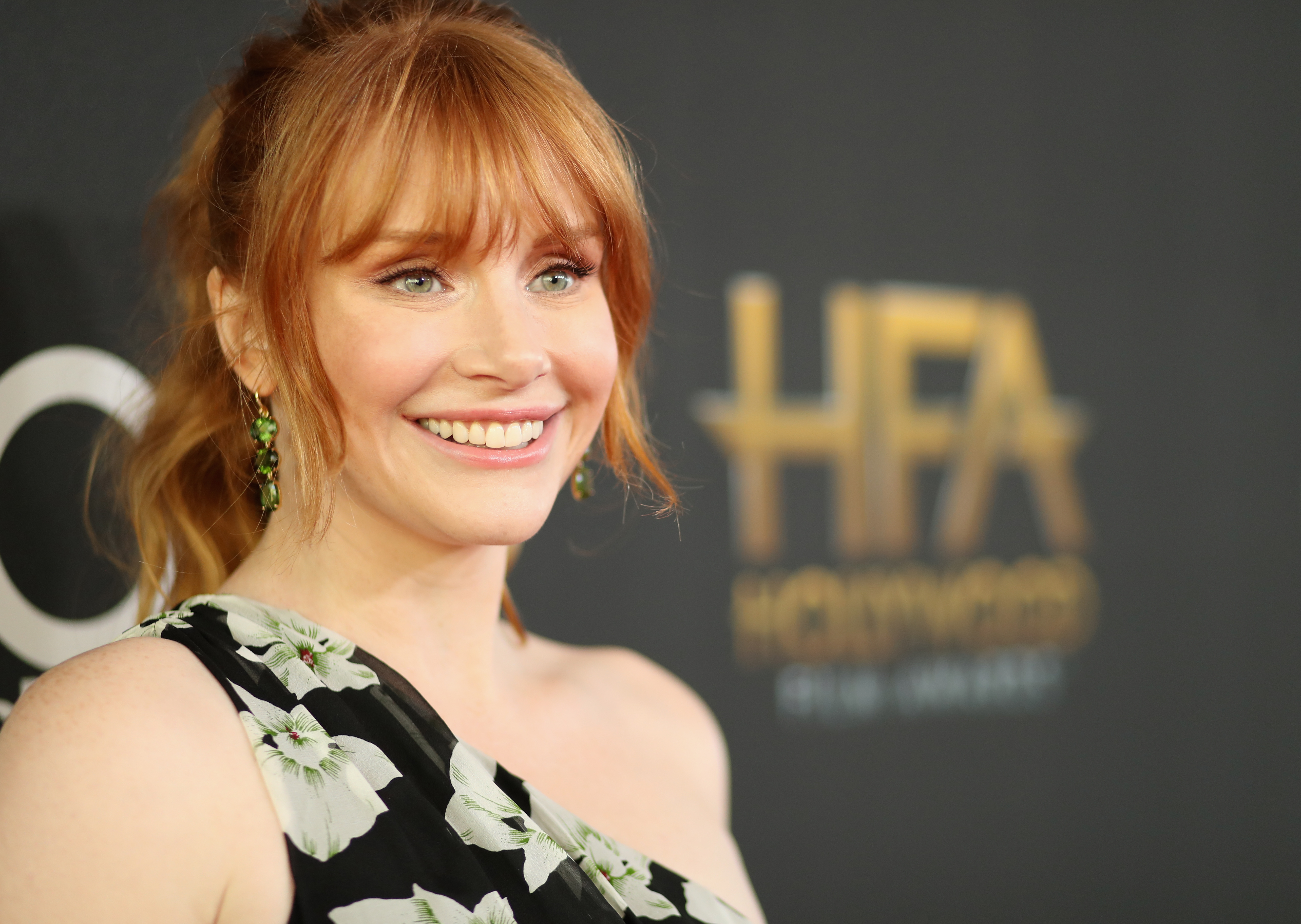 Actor Bryce Dallas Howard attends the 21st Annual Hollywood Film Awards at The Beverly Hilton Hotel on November 5, 2017 in Beverly Hills, California.