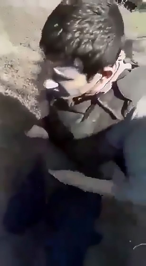 (Screenshot)