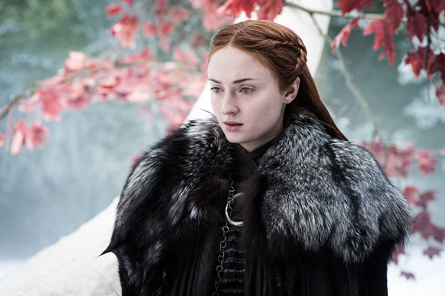 Sansa might not be satisfied by her brother's arragement. (IMDb)