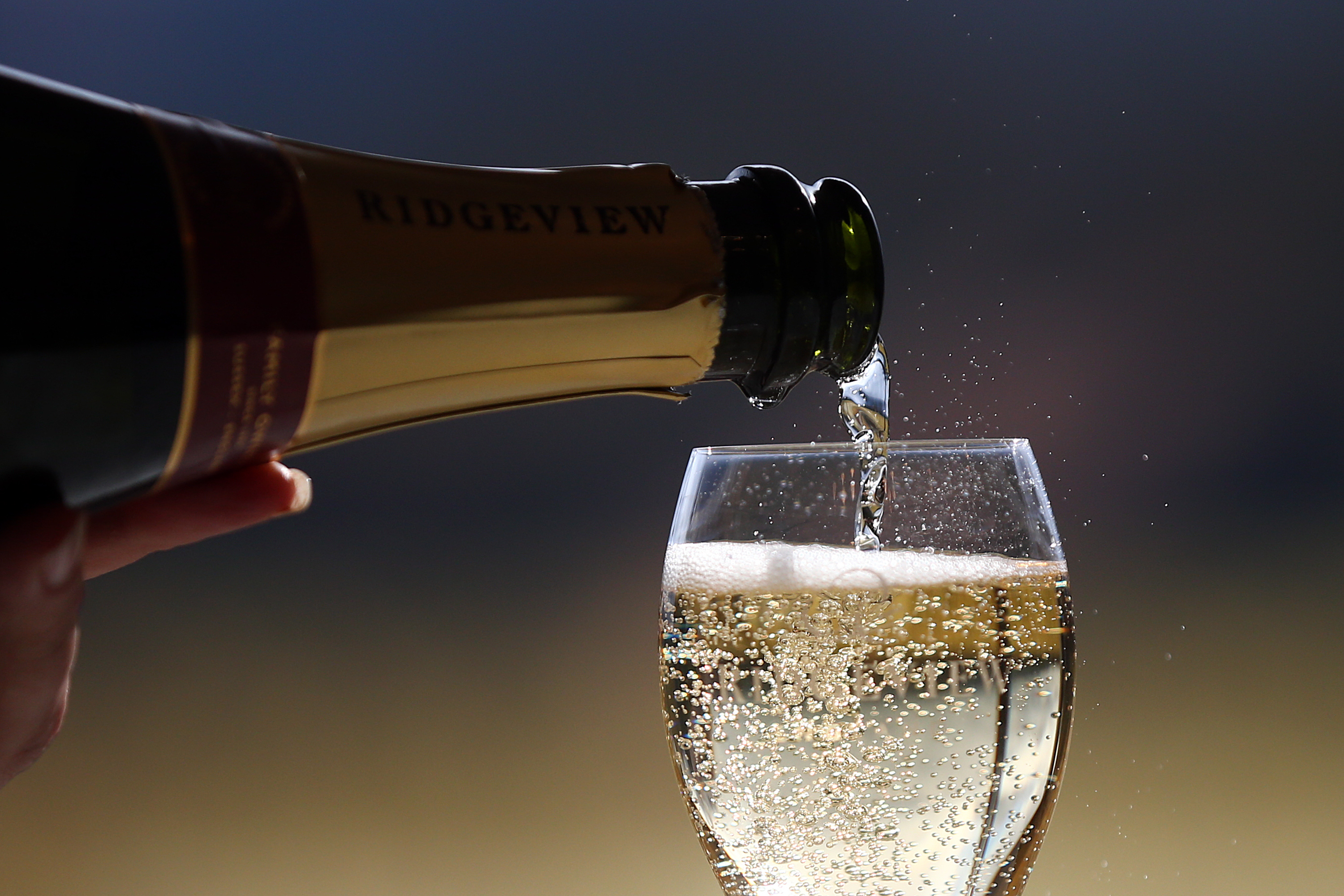 Representational Image (Photo by Carl Court/Getty Images)