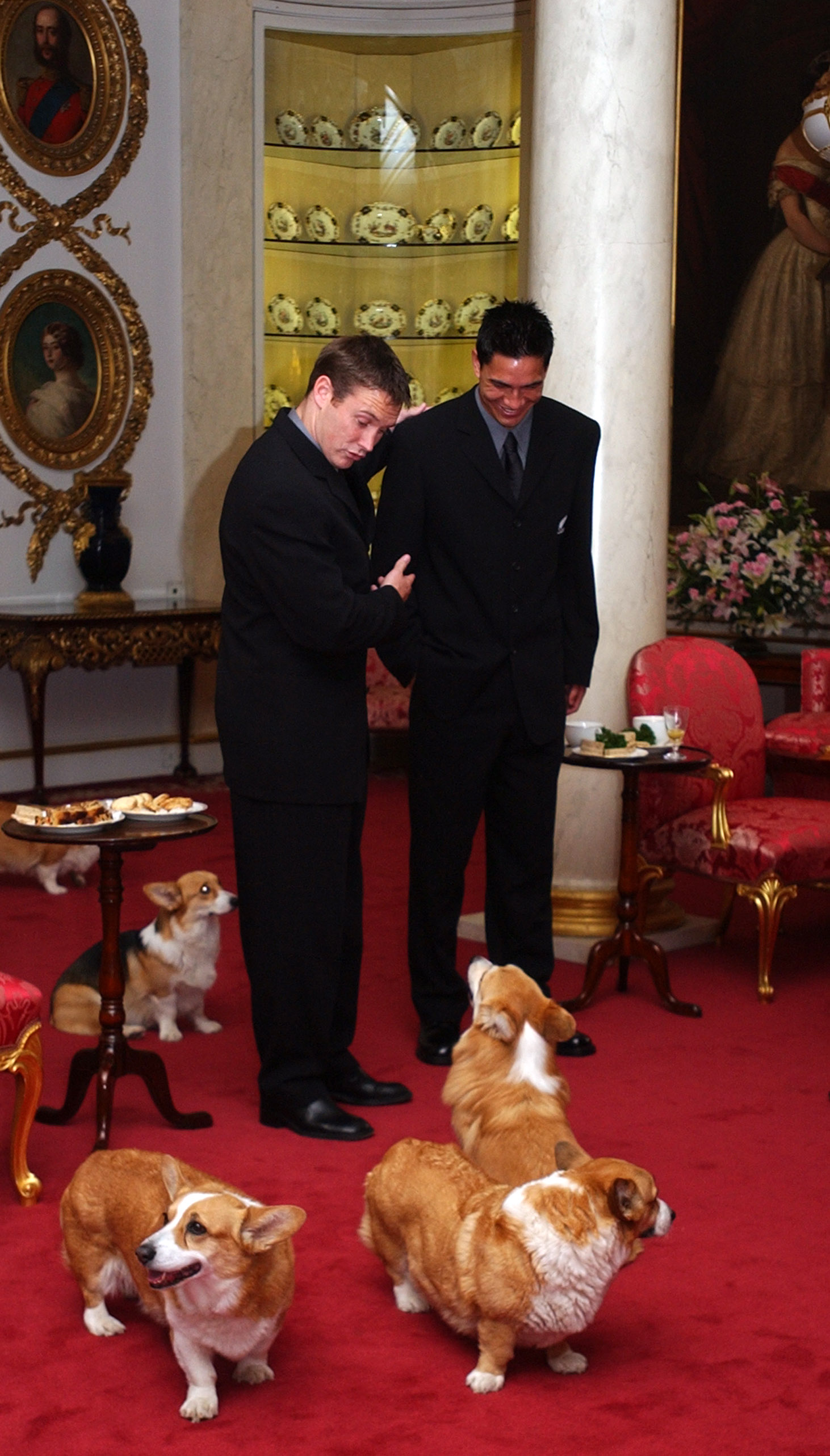 Andrew Mehrtens introduces young All Black tourist Regan King to one of Her Majesty Queen Elizabeth II corgies at an afternoon tea for the team at Buckingham Palace, Tuesday. (Getty Images)